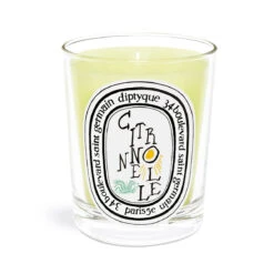 Diptyque - Classic Candle - Summer Special Edition Candle - Cintronnelle / LemonGrass