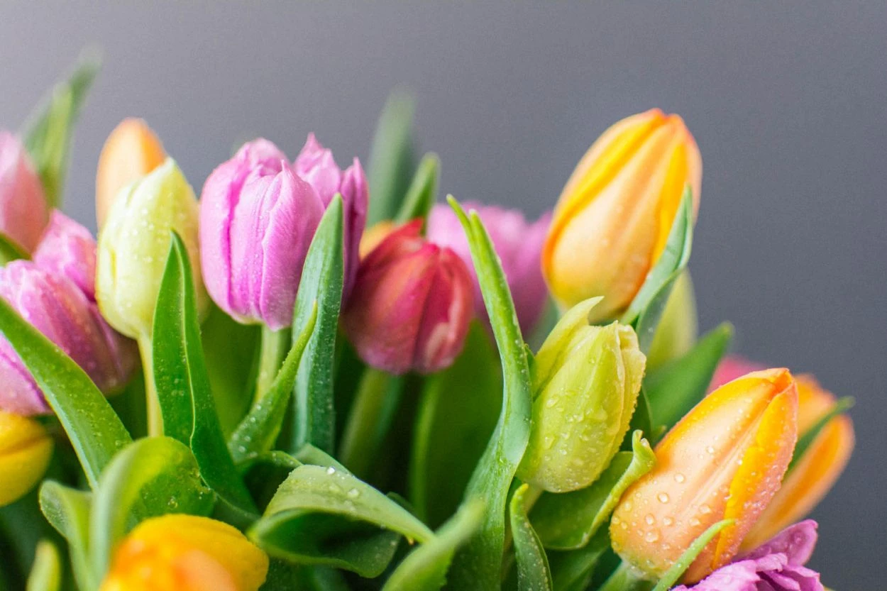 By The Sea 7 By The Sea - Image 5