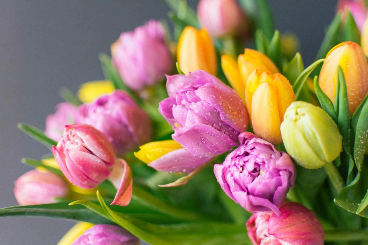 By The Sea 6 By The Sea - Image 4