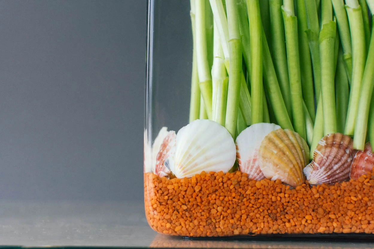 By The Sea 4 By The Sea - Image 2