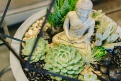 Buddha's Garden -Flower Gift Shop buddhasgarden1