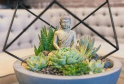 Buddha's Garden -Flower Gift Shop buddhasgarden2