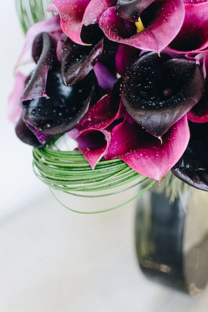 Burgundy Calla Breeze 5 Burgundy Calla Breeze - Image 3