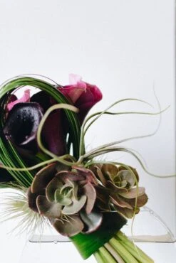 Burgundy Calla Breeze 11 Burgundy Calla Breeze -Flower Gift Shop calla 3 of 5