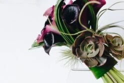 Burgundy Calla Breeze 10 Burgundy Calla Breeze -Flower Gift Shop calla 4 of 5