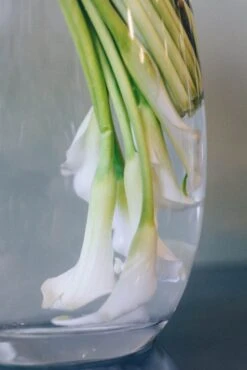 Endless Elegance -Flower Gift Shop callas 3 of 5