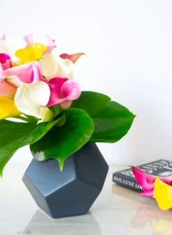 Calla Starburst -Flower Gift Shop callstarburst1