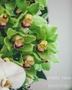 Celeste -Flower Gift Shop celeste1