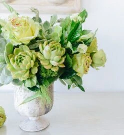 Chartreuse Gardens -Flower Gift Shop chartreusegardens2