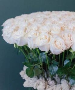 Ivory Clouds -Flower Gift Shop claudia tall white roses 2 of 7