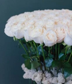 Ivory Clouds -Flower Gift Shop claudia tall white roses 6 of 7