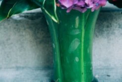 Coastal Garden 9 Coastal Garden -Flower Gift Shop coastalgarden2