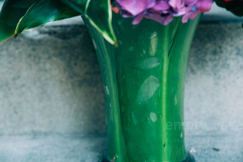 Coastal Garden 6 Coastal Garden - Image 4