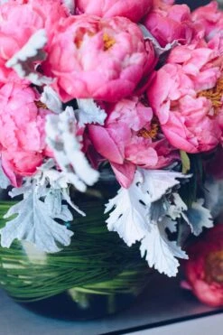 Coral Glamour 11 Coral Glamour -Flower Gift Shop coralcharm2