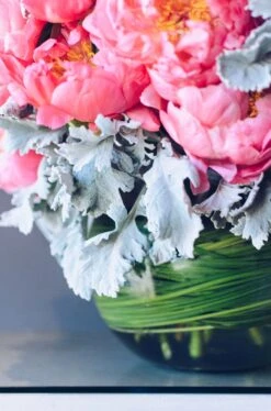 Coral Glamour 13 Coral Glamour -Flower Gift Shop coralcharm4