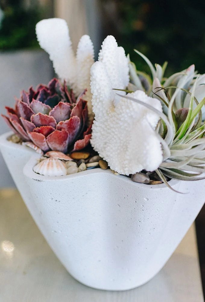 Coral Grotto 5 Coral Grotto - Image 3