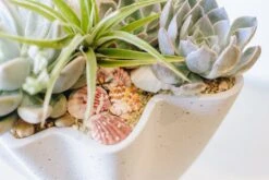 Coral Grotto 9 Coral Grotto -Flower Gift Shop coralgrotto2