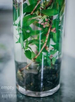 Coral Peony Passion -Flower Gift Shop coralpeonypassion1