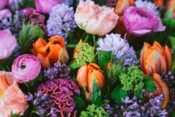 The Coral Reef -Flower Gift Shop cr032116 4 1