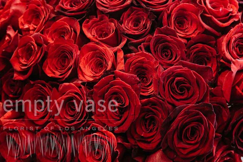 Crimson Romance 6 Crimson Romance - Image 4