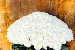 Diamond Dove -Flower Gift Shop diamonddove1