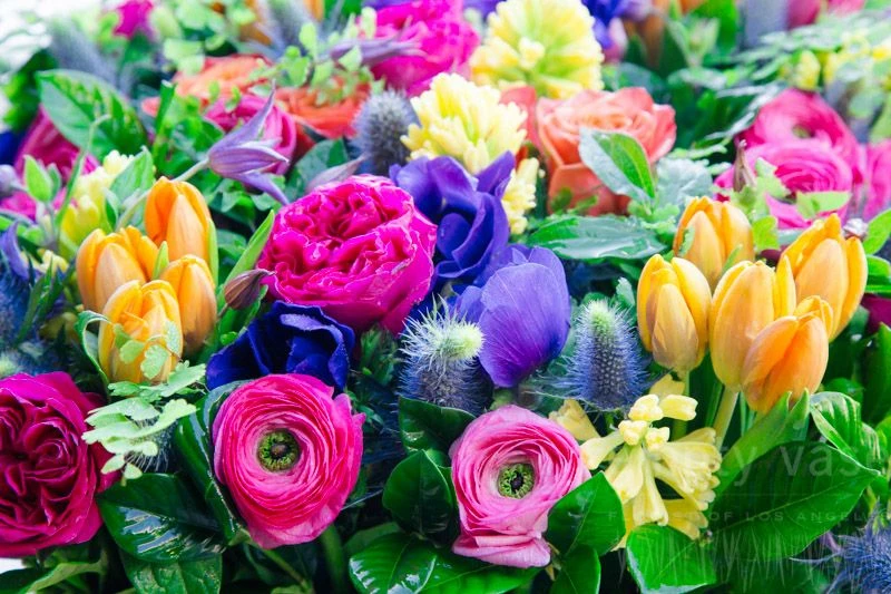 The Tropic Feeling (14" X 14") 4 The Tropic Feeling (14" X 14") - Image 2