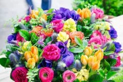 The Tropic Feeling (14" X 14") 8 The Tropic Feeling (14" X 14") -Flower Gift Shop ds031816 4