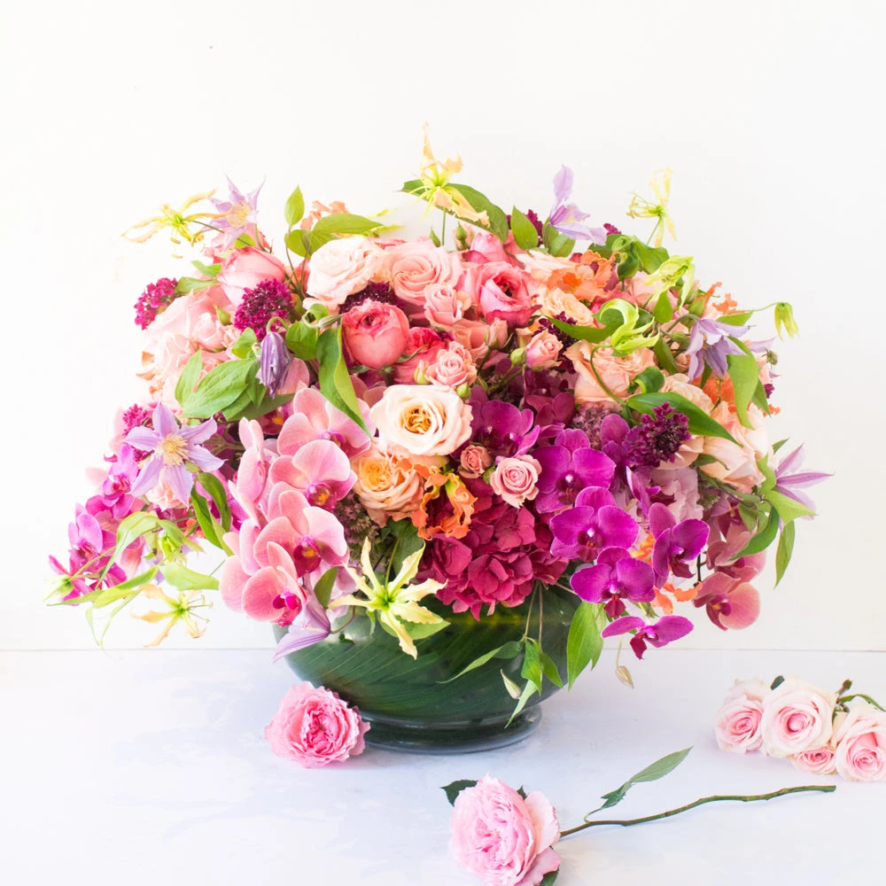 The Garden Duchess 3 The Garden Duchess