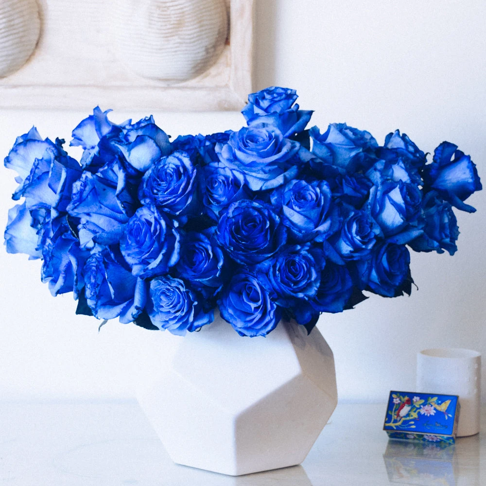 Sapphire Horizons 3 Sapphire Horizons