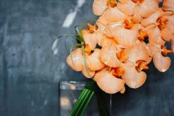 Kyoto Orange 8 Kyoto Orange -Flower Gift Shop dsc 0666