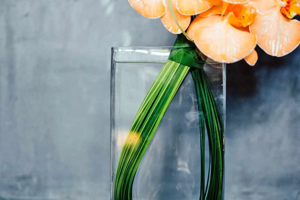 Kyoto Orange 6 Kyoto Orange - Image 4