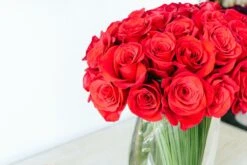 Contemporary Romance 8 Contemporary Romance -Flower Gift Shop dsc 1255 1