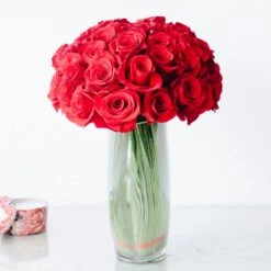 Contemporary Romance 9 Contemporary Romance -Flower Gift Shop dsc 1258 1