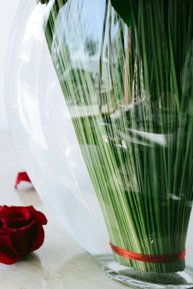 Modern Love Song 6 Modern Love Song - Image 4