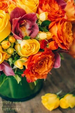 Summer Bonfire -Flower Gift Shop dsc 1592 1