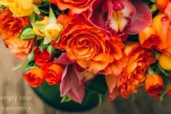 Summer Bonfire -Flower Gift Shop dsc 1600