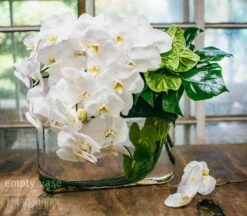 Jungle Serenity 9 Jungle Serenity -Flower Gift Shop dsc 1738 1