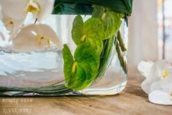 Jungle Serenity 11 Jungle Serenity -Flower Gift Shop dsc 1743