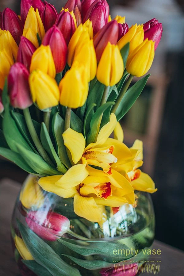 Garden Sunset 6 Garden Sunset - Image 4