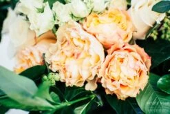 Emerald Forest -Flower Gift Shop dsc 2400