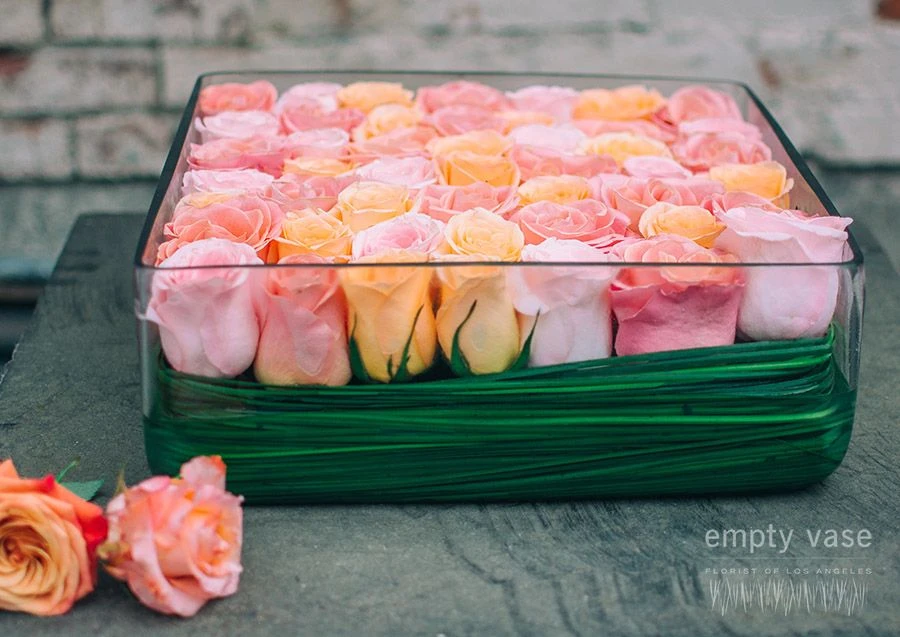 Peach Sunrise 4 Peach Sunrise - Image 2