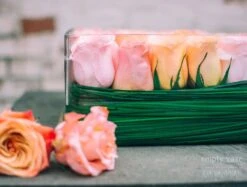 Peach Sunrise 10 Peach Sunrise -Flower Gift Shop dsc 2531