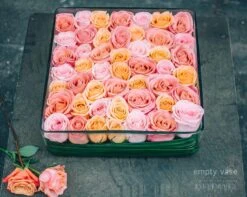 Peach Sunrise 9 Peach Sunrise -Flower Gift Shop dsc 2537