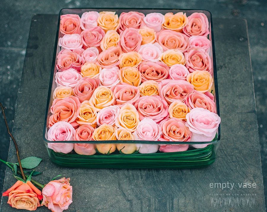 Peach Sunrise 5 Peach Sunrise - Image 3