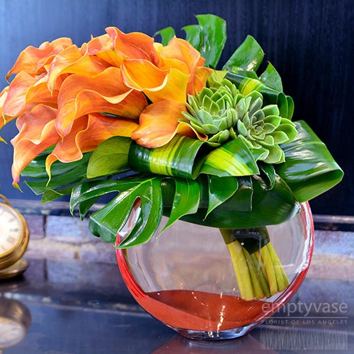 Tropical Tango 3 Tropical Tango