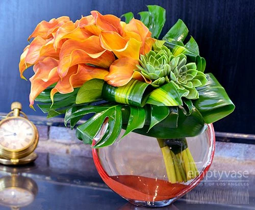 Tropical Tango 4 Tropical Tango - Image 2