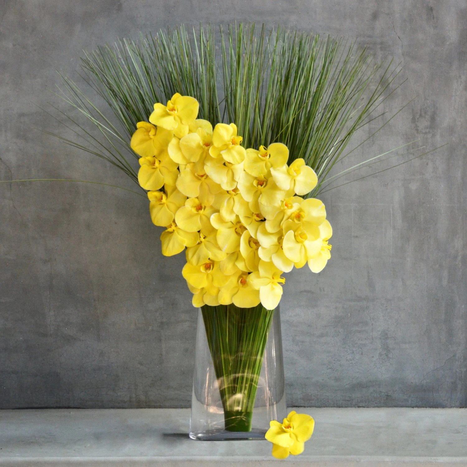 Rays Of Sunshine 3 Rays Of Sunshine