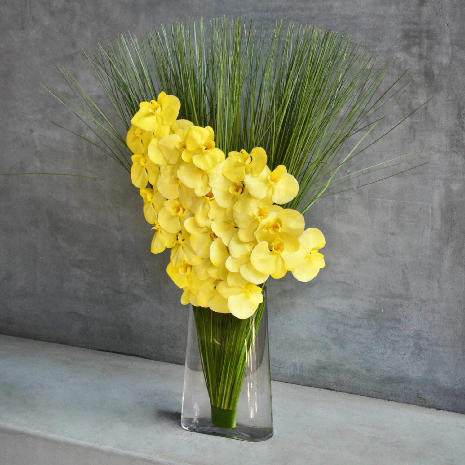 Rays Of Sunshine 4 Rays Of Sunshine - Image 2