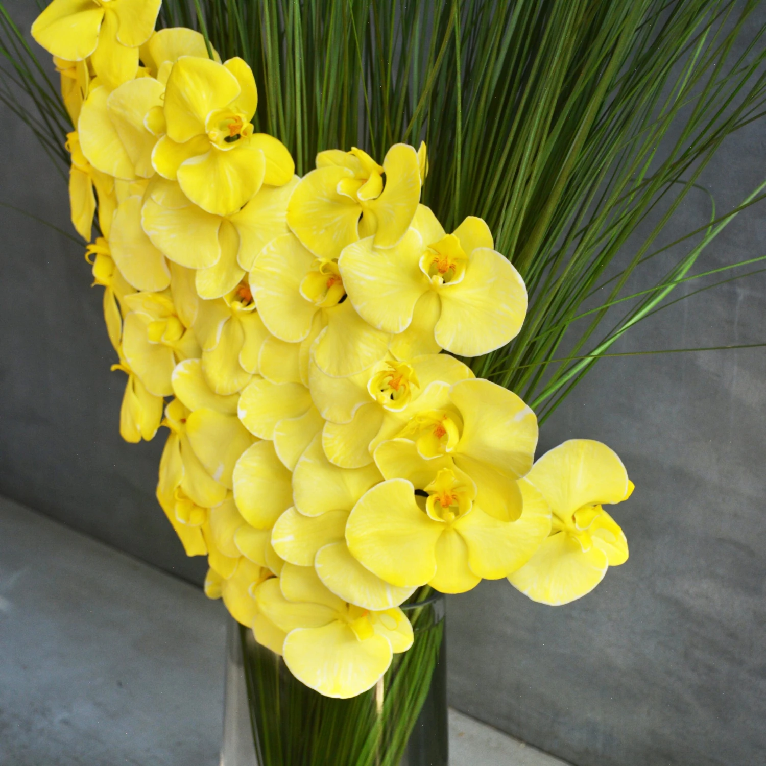 Rays Of Sunshine 5 Rays Of Sunshine - Image 3