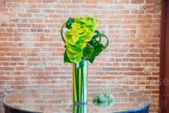 The Succulent Kingdom -Flower Gift Shop ek041216 3